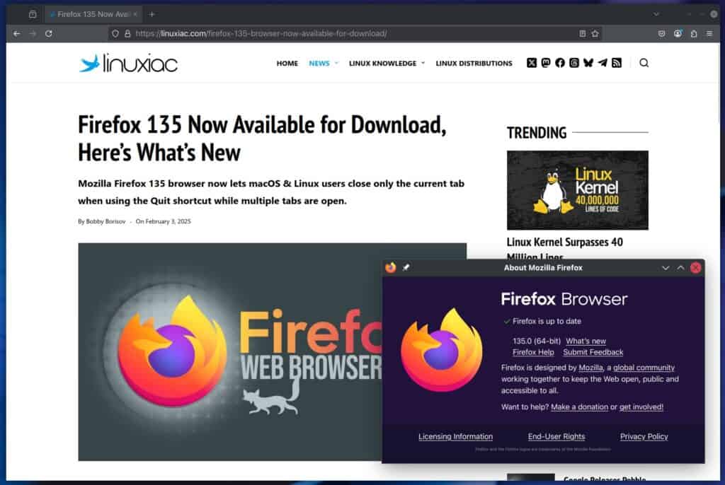 Mozilla Firefox 135 Web Browser