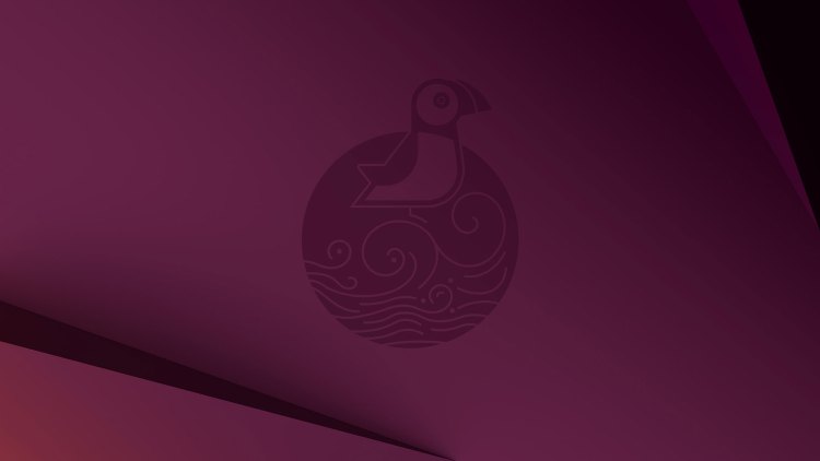 Ubuntu 25.04 default background